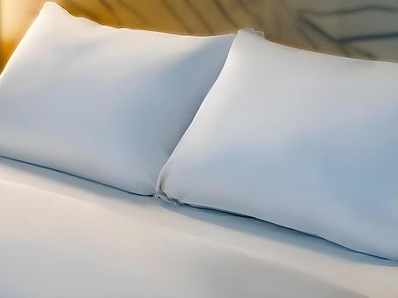 3EEACEF6A38E96EF5470243F937A7092