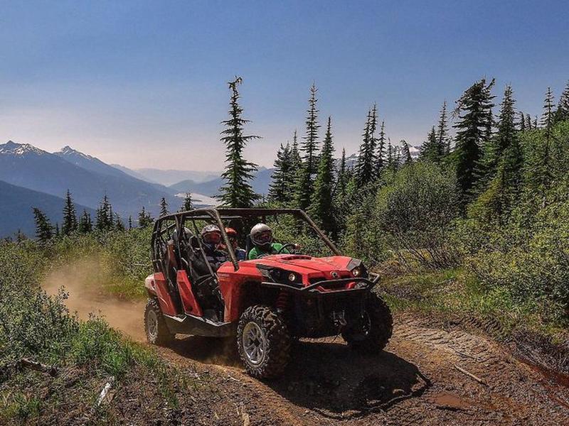 DD8A04C4F55CA7896AA44EC4385C86E1