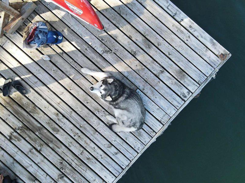 780E217A0420292576F6458DF9AC870B