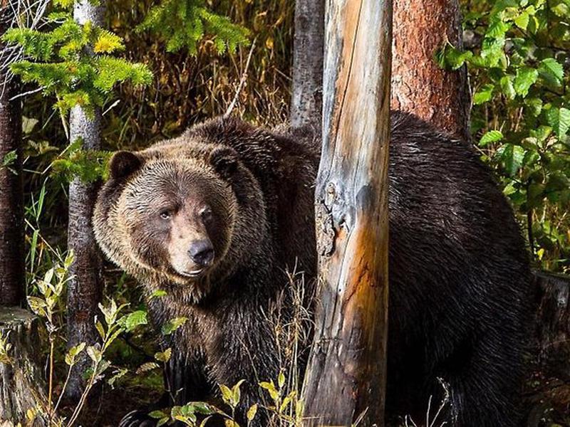 2090B951E93938909344BDD48C270521