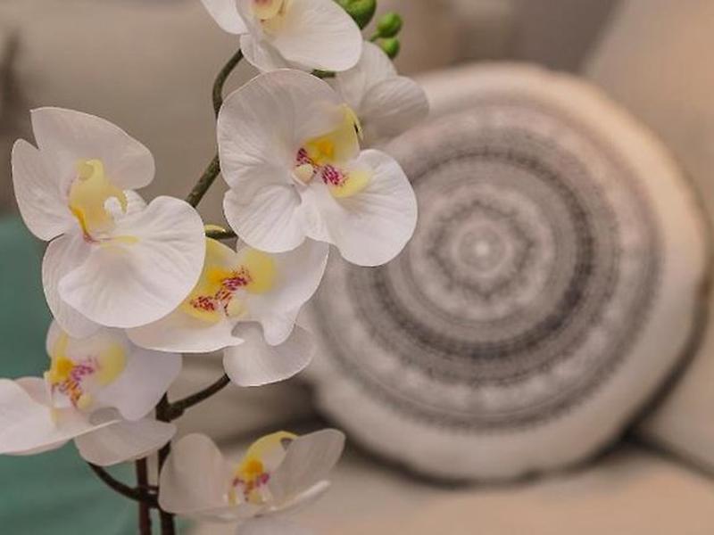 34E86D585F2A95039529798B6AB647B5