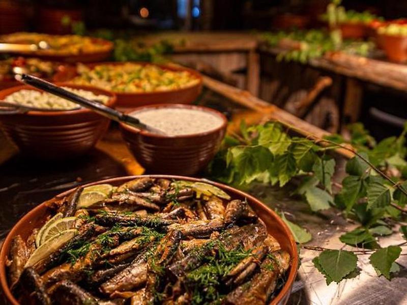 0EE3C1AC0C95AA5351357BCABF6E8523