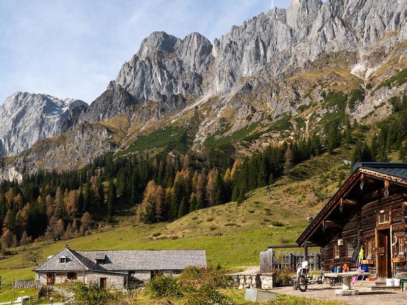 A97E0B8DB4F9E4278C5921C5C46F68C7