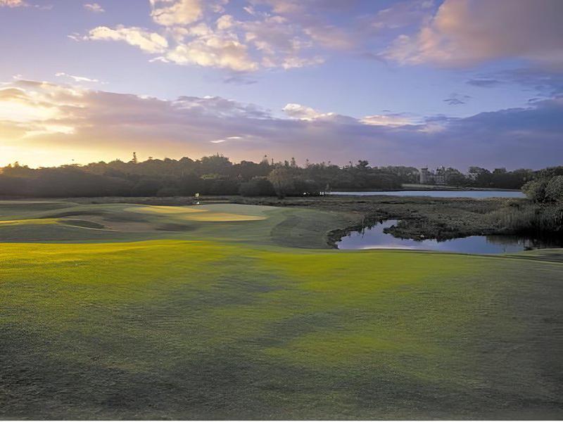 8A7EA2B019689DED06DB888D0D8DF7C6