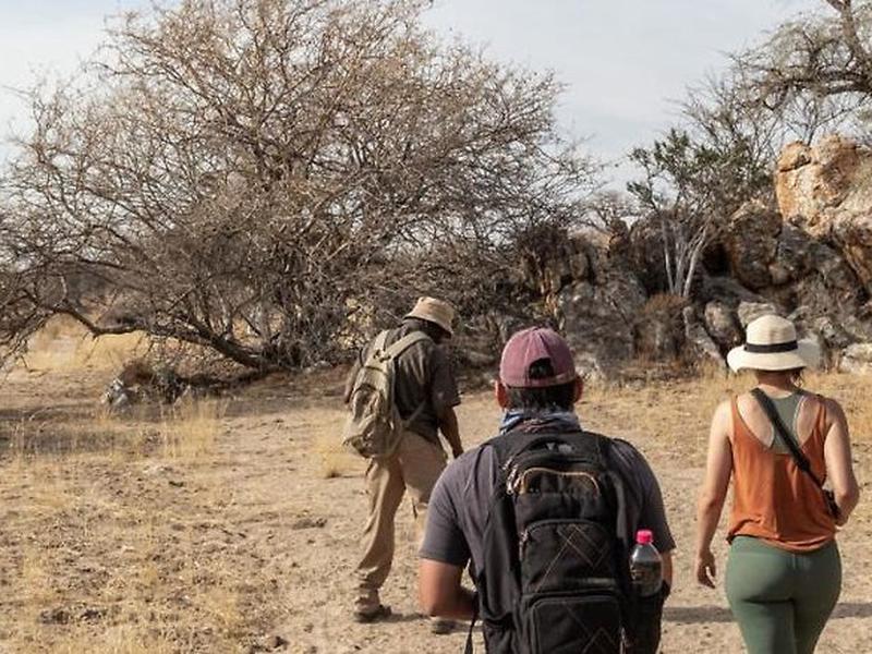 380838E6E680A44AED4A01AE1A9CF25F