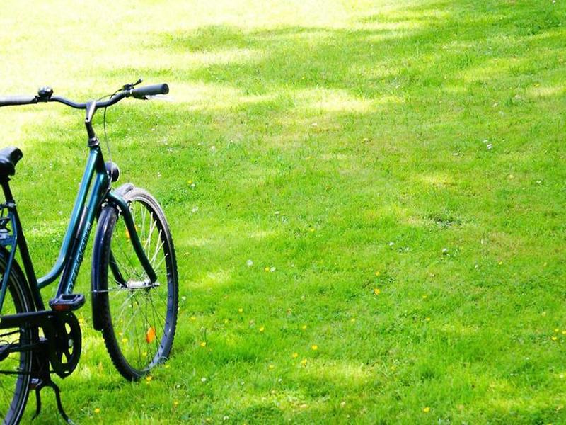 B502825A57EF7FA5F7820DA15332DD17