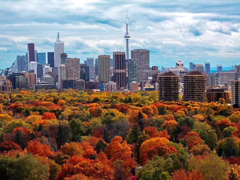 F84ABAD23ED66432572B5A13D63B6590