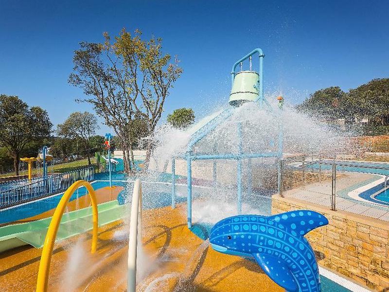 47CCEB79A573941B626C6761F87EE48F