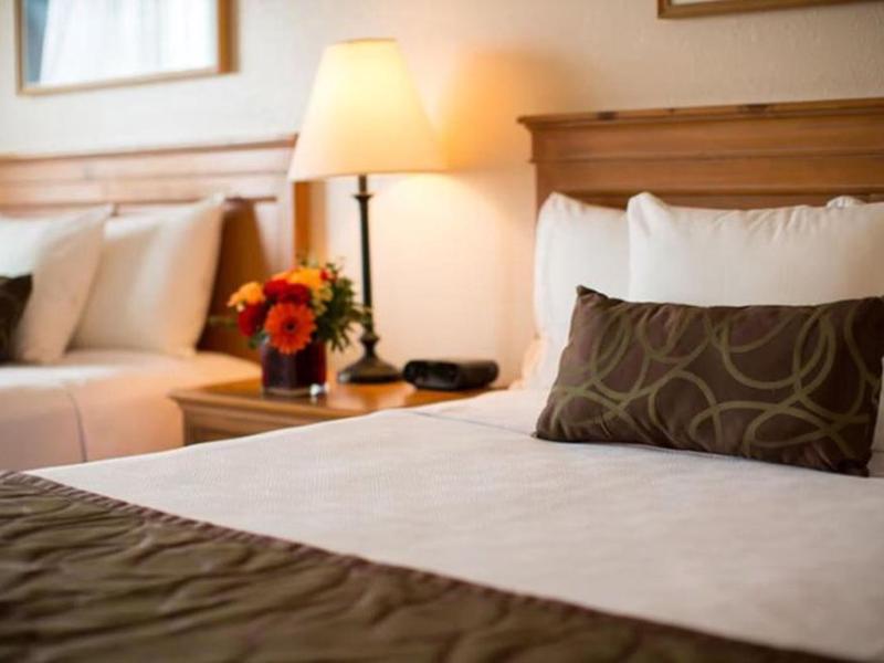 9EED5FDC78597C3300DBFFCC6FEA5E69