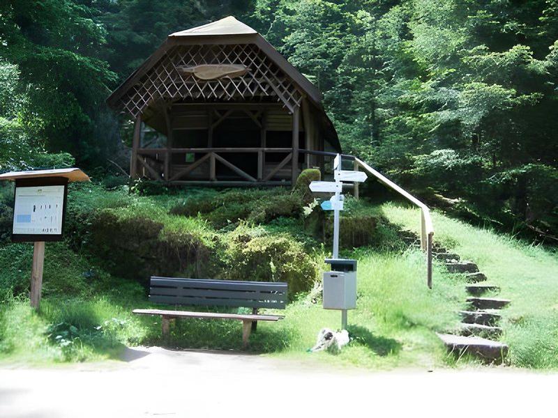 47601E8E62695945F6821A51994CBD7E