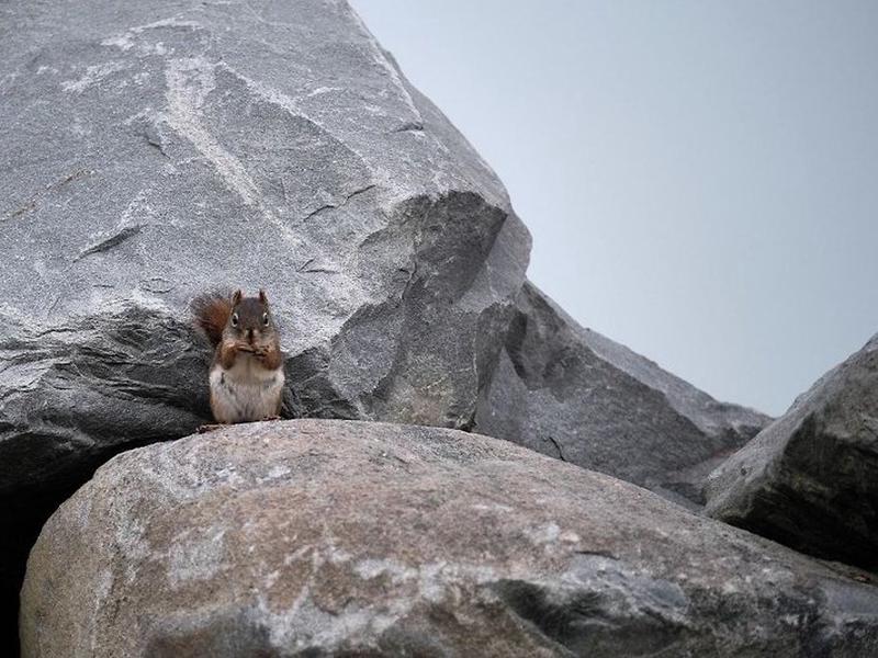 082CC33A9A2F0DD1C8BE1E66E005184C