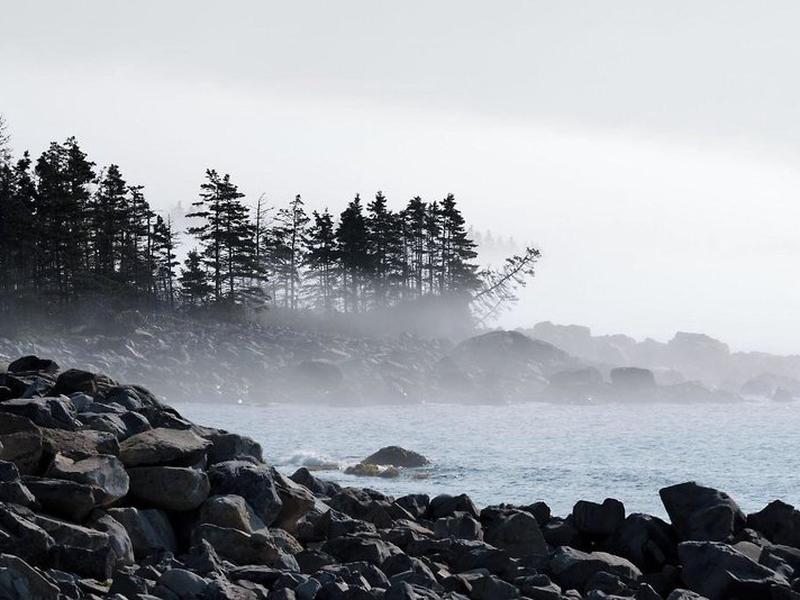 ADABE62A2FE985D1343393FD24977EBE