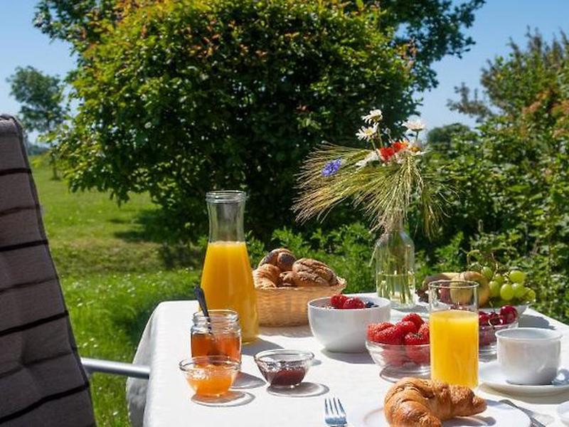 521A33C7419450704EDD78D99C33544E