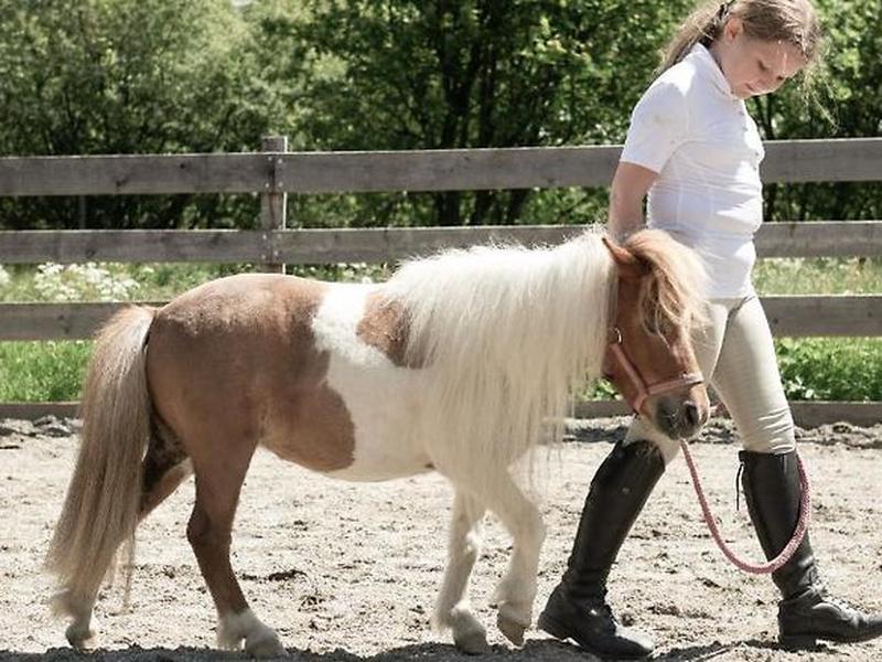 FA2B5D7D8841771B3D7EC818F019A37B