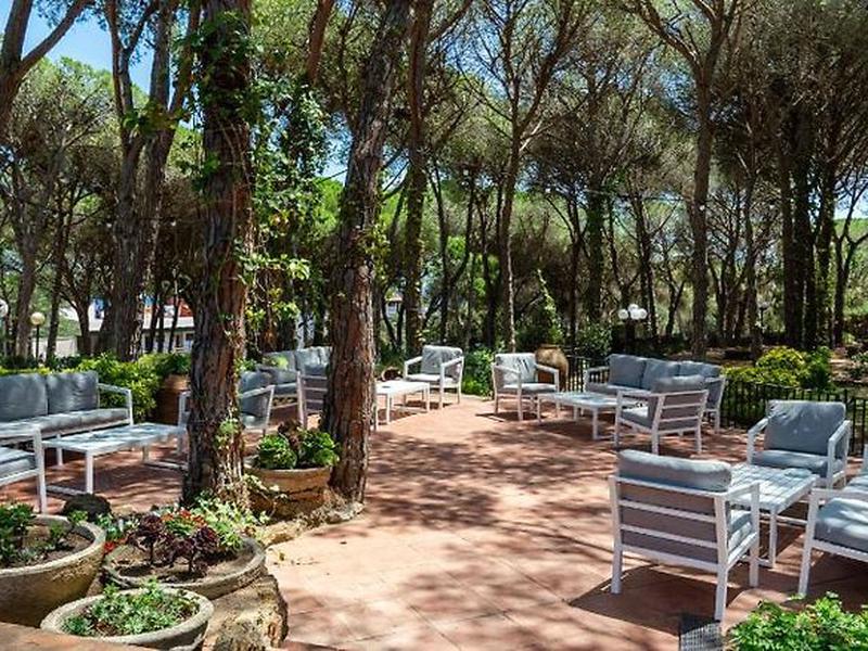 645AD6E86E0F7483F3C9EE20EB01CA18