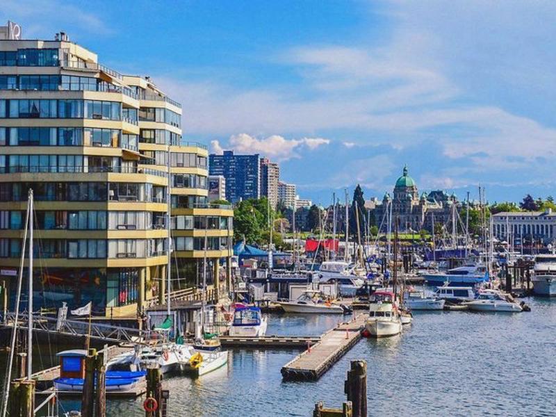 3AA1A0B89B3769BDB3D63985FF162717