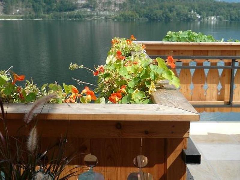 642ADA9322D773397470CDCC544355FD