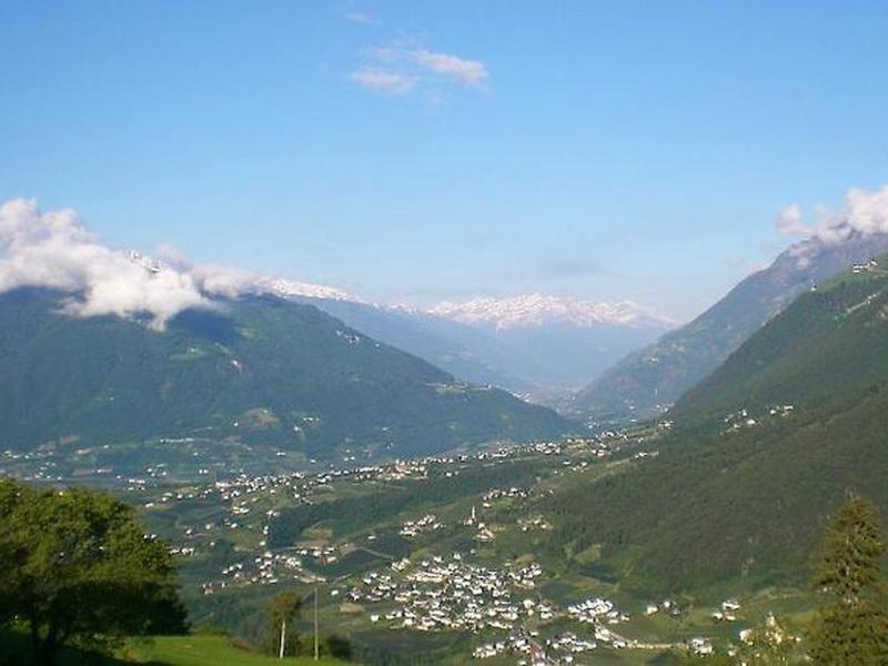 562CF6F00E2E1223A7B2177356DDCA94