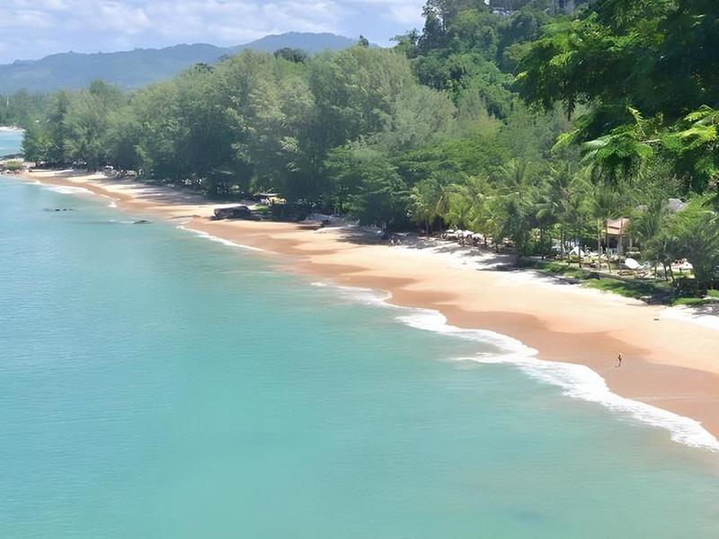 636A1443B3303481C8A878F7E4EAEBD0