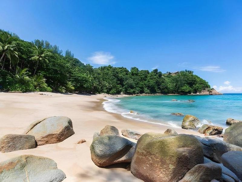 363ED34C4E96DA35665684C0A23171EF