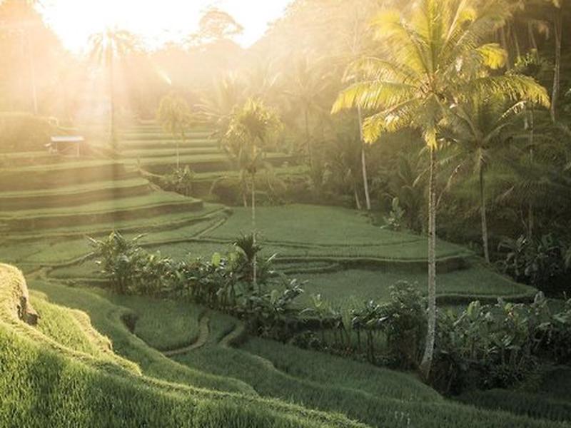 EDC65B16887AC6E5B3B137F8633E52E3