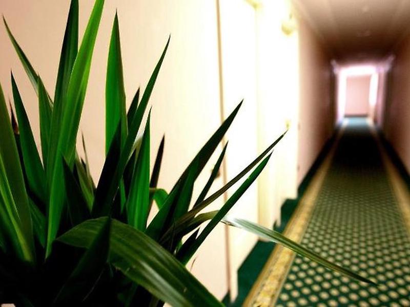 4C22220E1F8B2C420ED84ACF8B2341C3