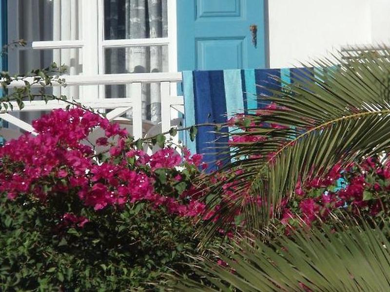 2AC70B857912809CEB5F0B6DA77C6370