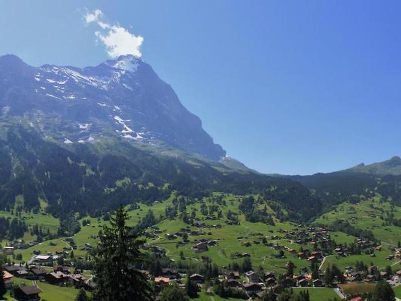 73BFB0E923BA71B15E4BFE8F8D3E0358