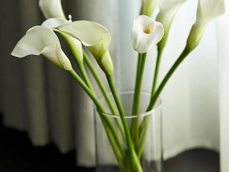 B9BBA49240F1F72FE46A3E997B1BD15B