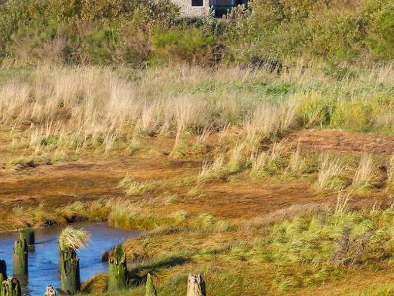 2C04E5A7C698009E7D5EEECAC86E6907