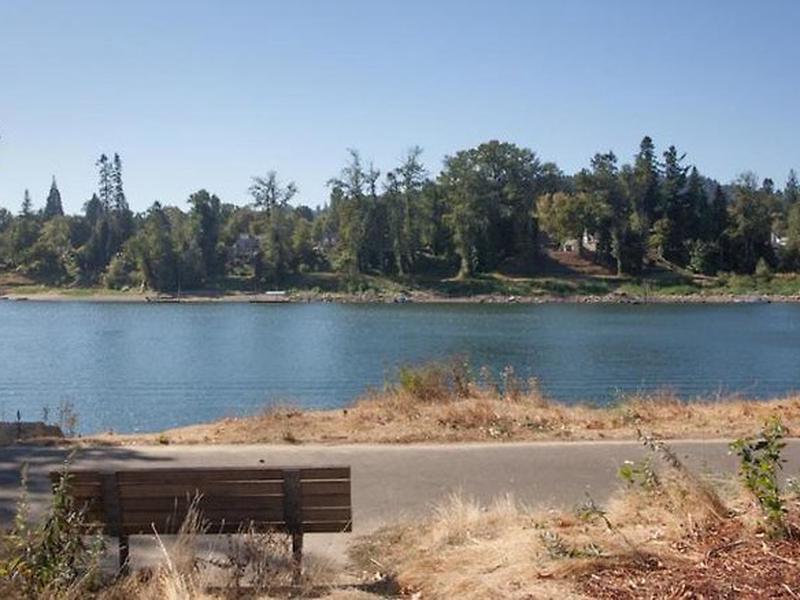 8BC0C3E35C215BEF50A6D3B409448946