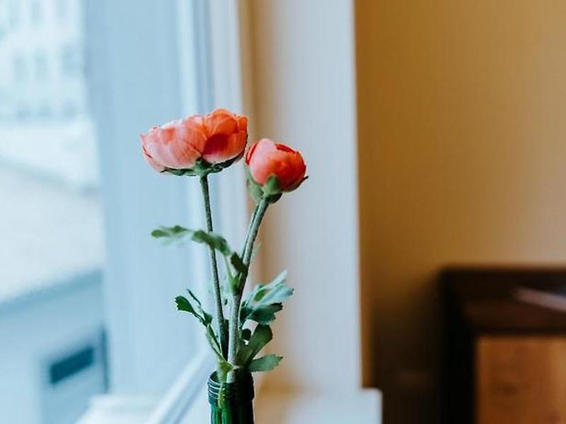 0A1A08E4A50F13571501AFB717B6939D