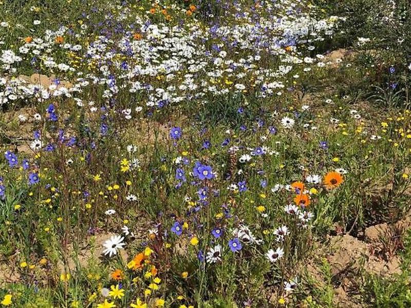 44FC8A2AE02FB776405B7D81AA41864D