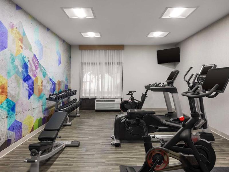 53CCE9A2DBB4C81D2D273F3C48883B77