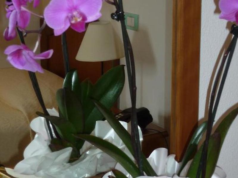 53AA8FCECEF4F50A400390D9970487FD