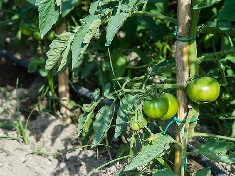 78F52D3F9C9FBEE7AFE281BEB1EFA8C5