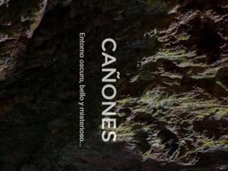 687335B36989CE222B1925E9AD6F3FBB