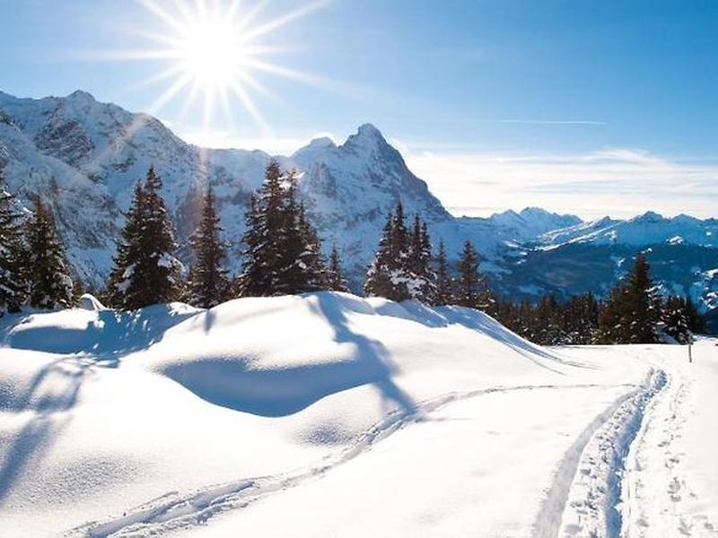 50D4B4B4FE5EBE72CFB9478034809EBC