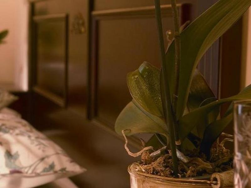 B4FB65F9E88176D83F87F8F011B59ABE