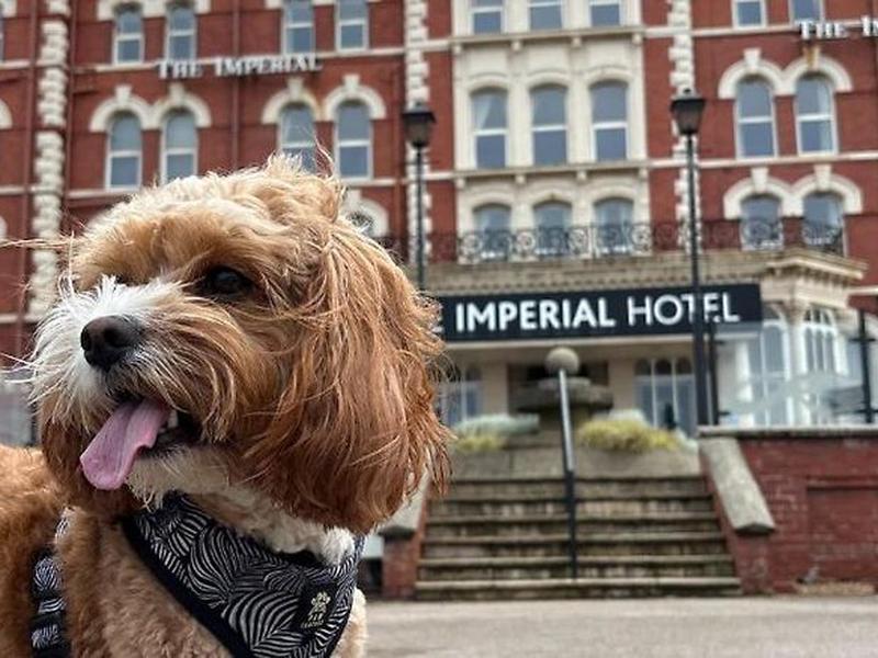 F33C11A93F5230C433EC8959E4C02D30