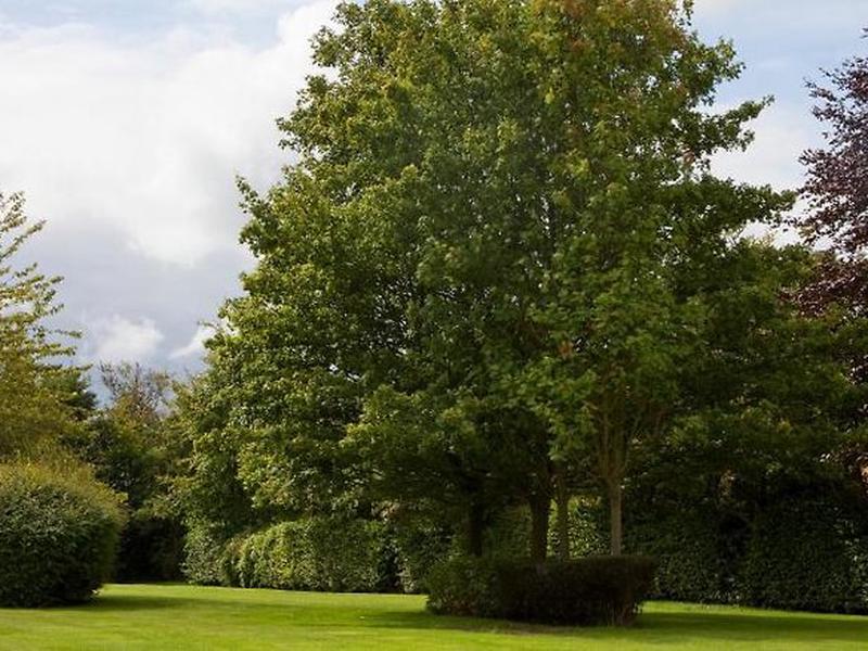 0F15FA5C453E344998B80E7FCF53455F