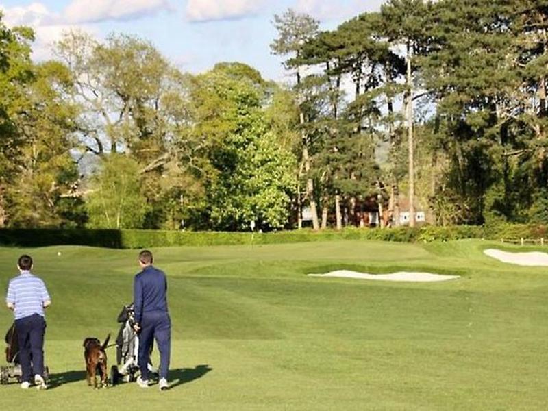 883A6A4AB18BEE833611D523DFEDA9FC