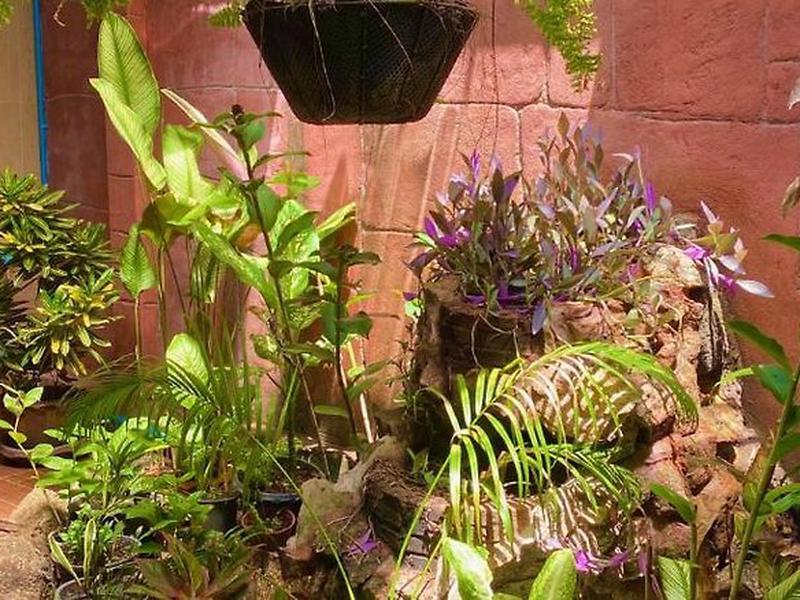 0FAAD409295877A930B2E3AC733706E1