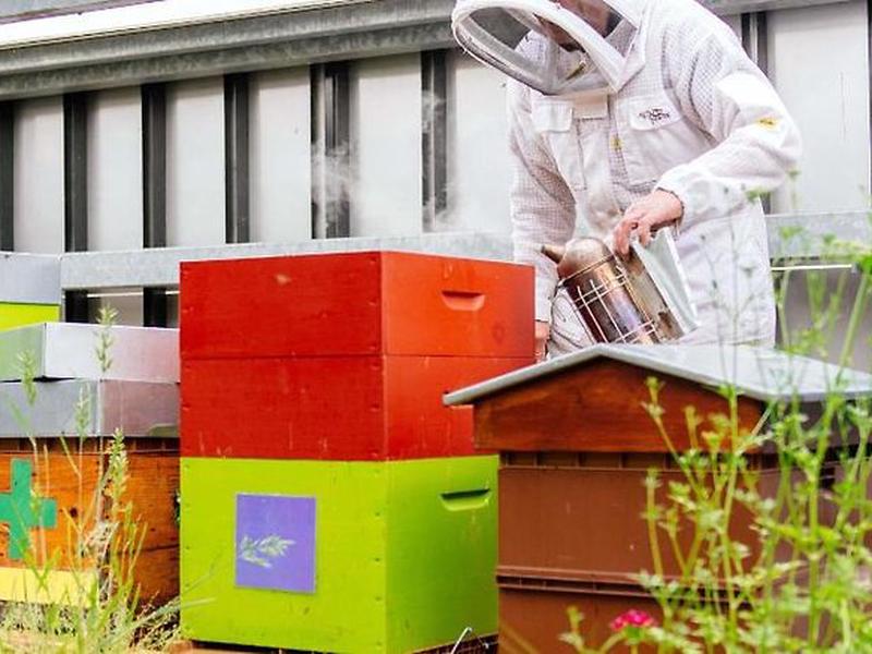 404001DC0FF5470C2D4CB4545FCFC7B3