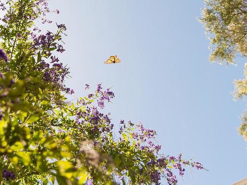 1B0044E34D0D1C58A9437F6A3BEFFAFC