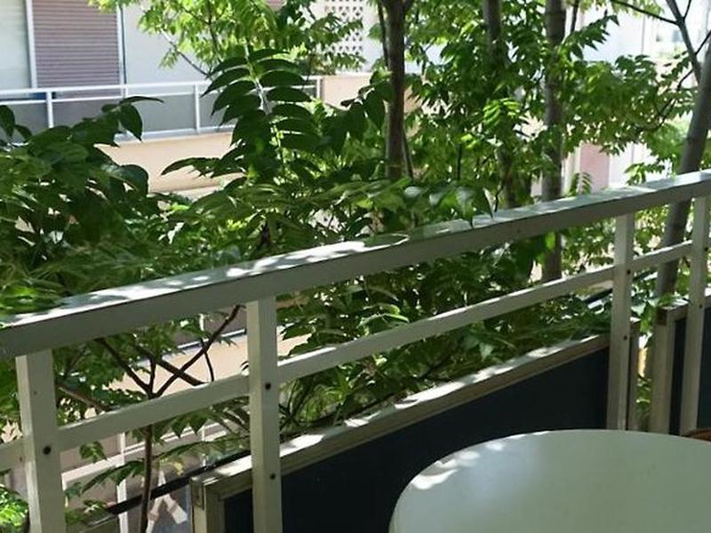 F6FB705B478C19B834828D1C714BACA8