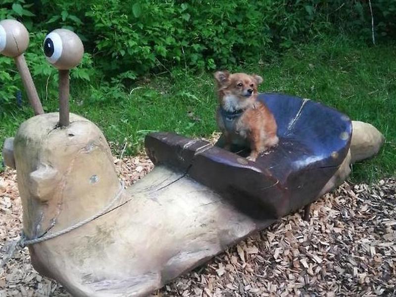 4A19850D8B3E892463B5E9A649357F77