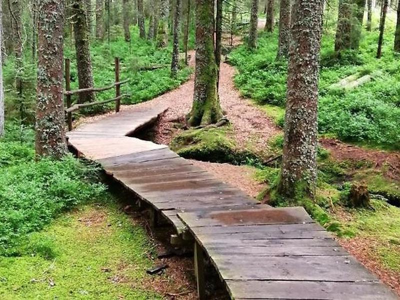 1F815516E9184D923DACFF4AD2CCE304