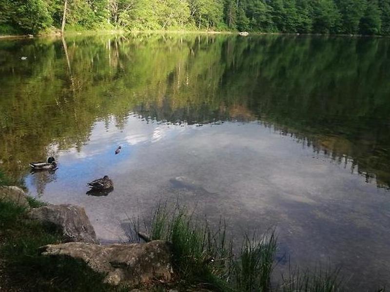 A9ADFFE2A5248F89D818FF16C258F2AB