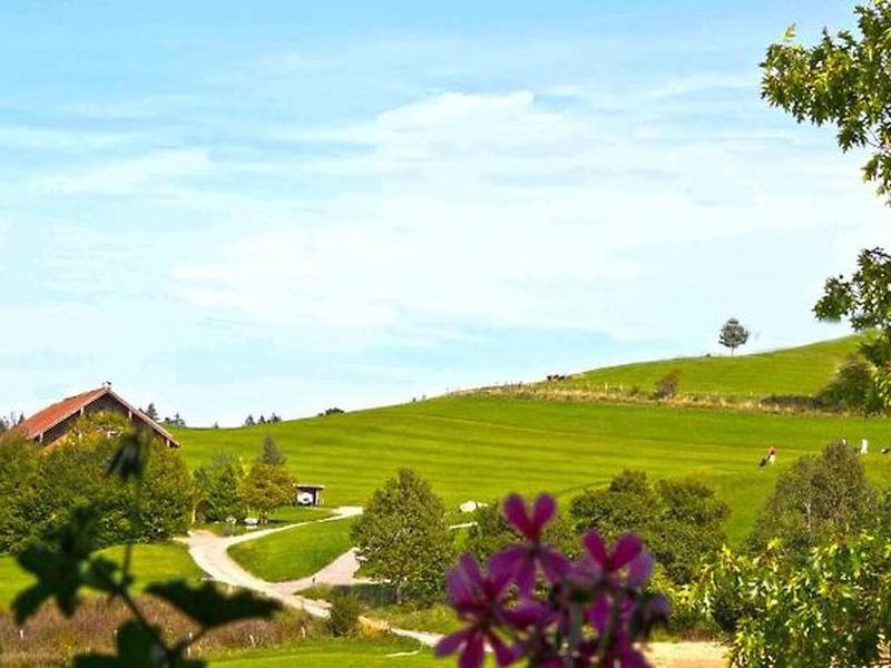 556E77DB4EBEBDD1798201D7F0CCE85F